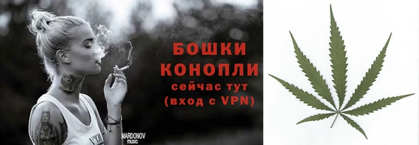 СК Аркадак