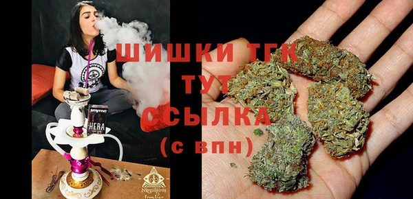СК Аркадак