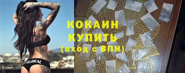 сатива Баксан