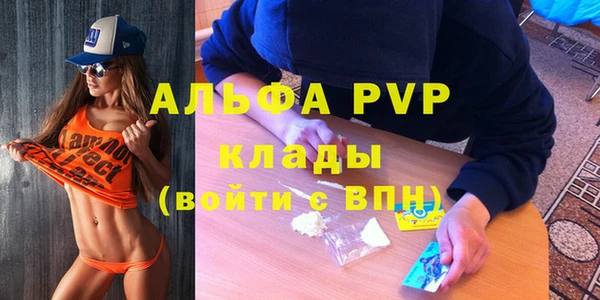 сатива Баксан