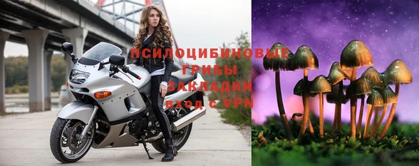 сатива Баксан