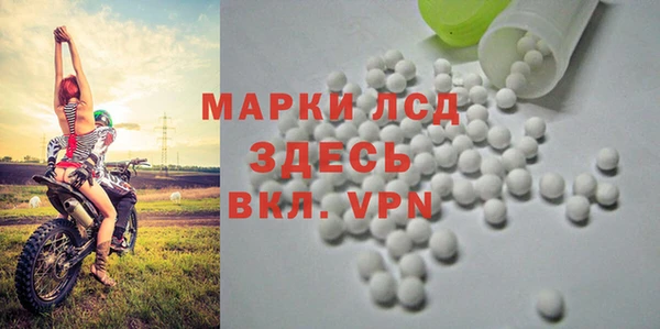 сатива Баксан