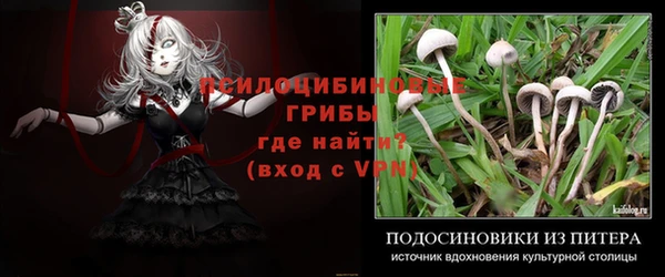 мяу мяу мука Балахна